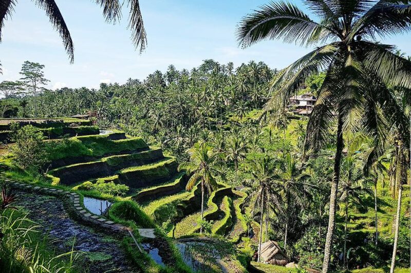 Kuala Lumpur, Jakarta & Bali