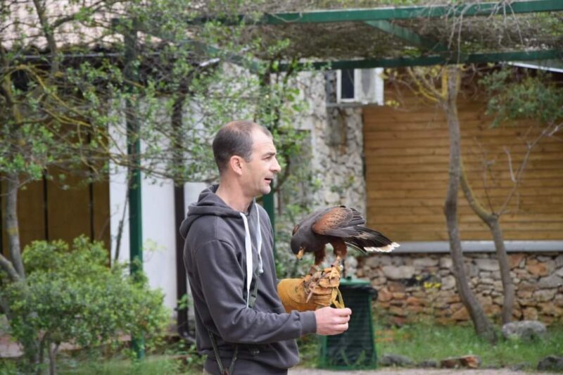 Ušata sova nas nestrpljivo čeka dok nam se u Skradinu zabava smješka